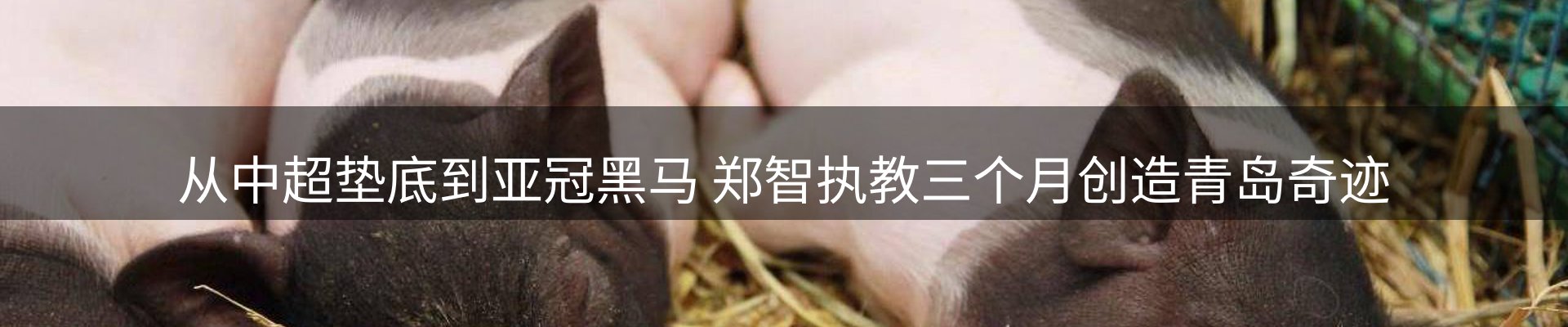 赛事资讯