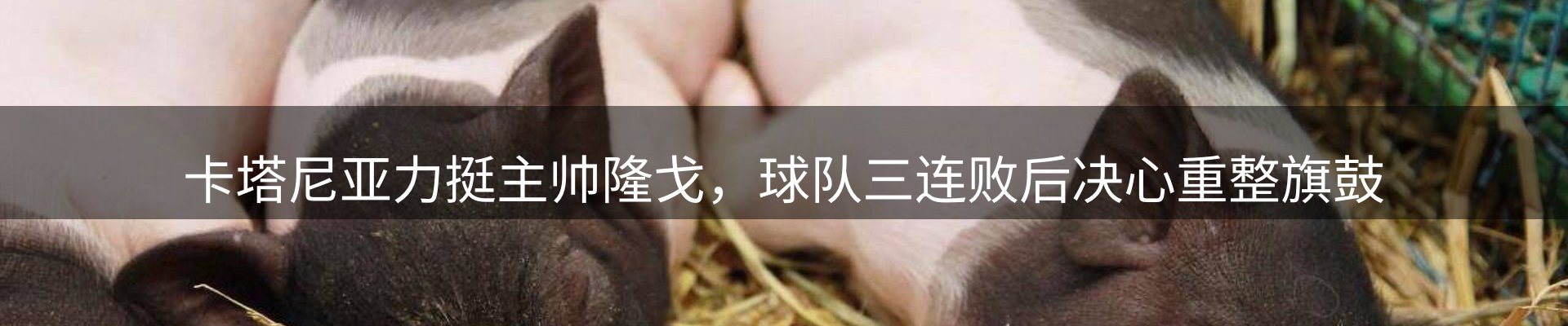 企业播报