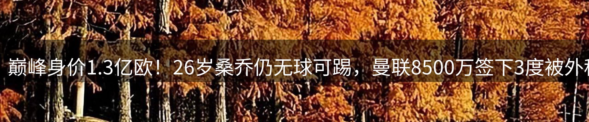 赛事资讯