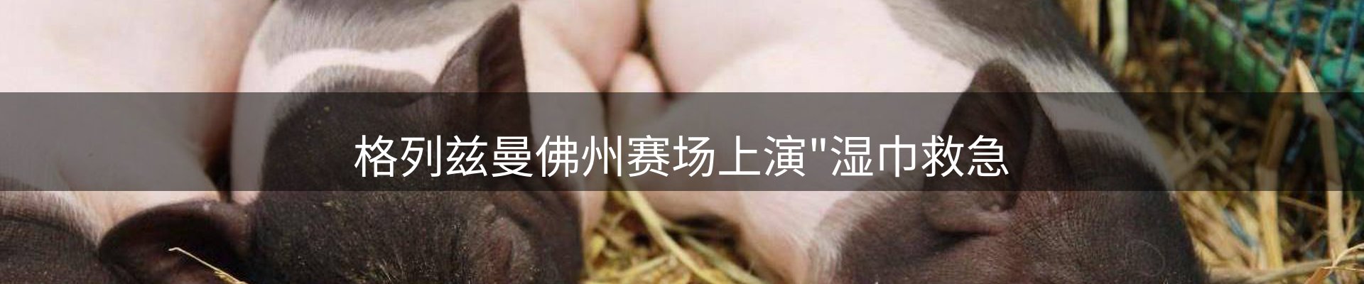 企业播报
